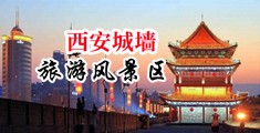 黄黄操网站中国陕西-西安城墙旅游风景区