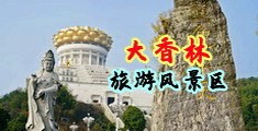要大鸡巴的视频中国浙江-绍兴大香林旅游风景区